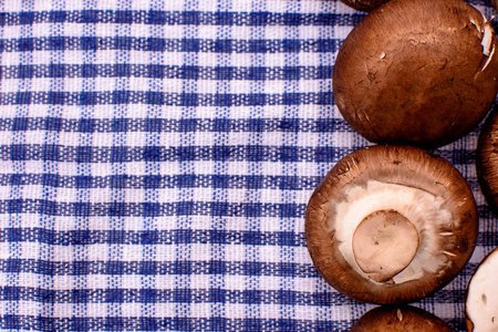 灰色的蘑菇香菇躺在蓝色的毛巾，文本，背景的地方