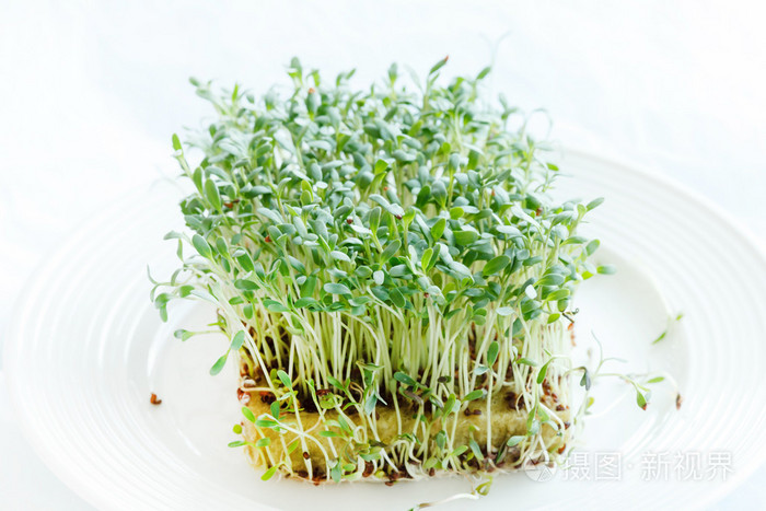 营养丰富的绿色豆芽