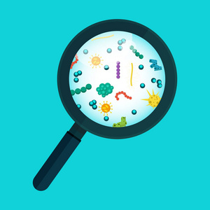 显微镜下的细菌图片