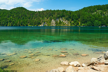 alpsee 在天鹅湖