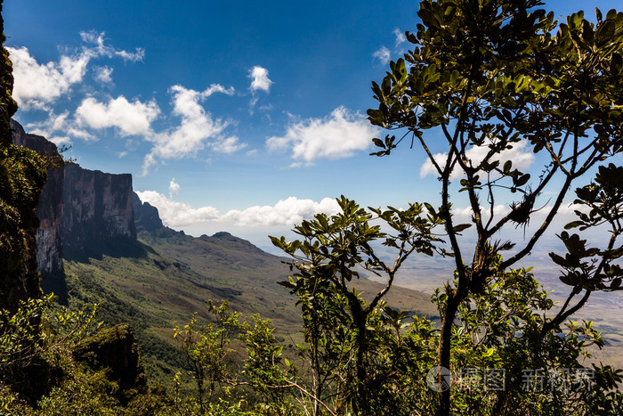 查看从罗赖马高原到大萨瓦纳范围内区域委内瑞拉，南美洲