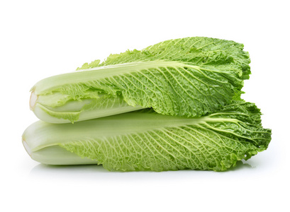 大白菜油渣图片