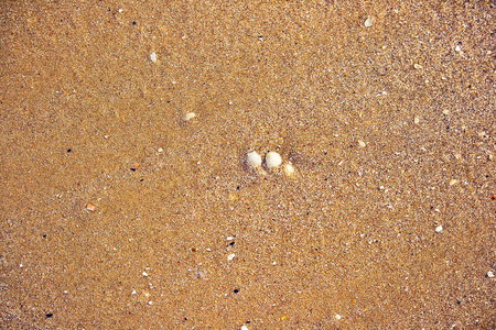 沙 沙地沙洲沙滩沙子 沙色