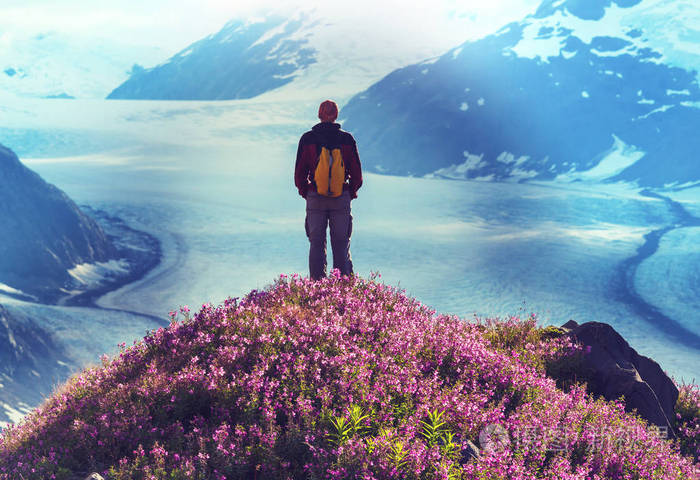 三文鱼冰川的徒步旅行者