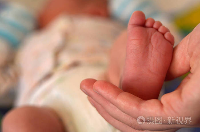 手掌里的婴儿的脚