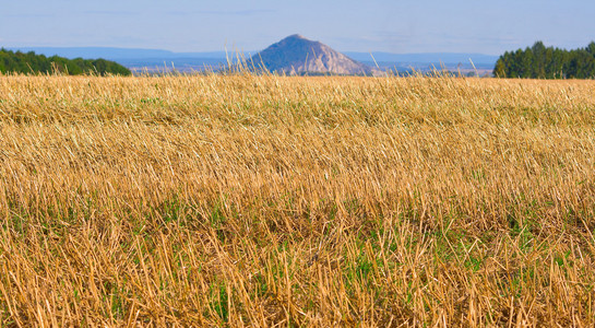 秋景