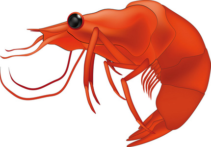 虾青素粉插画-虾青素粉手绘-虾青素粉卡通图-摄图新视界