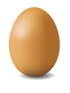 棕蛋的说明