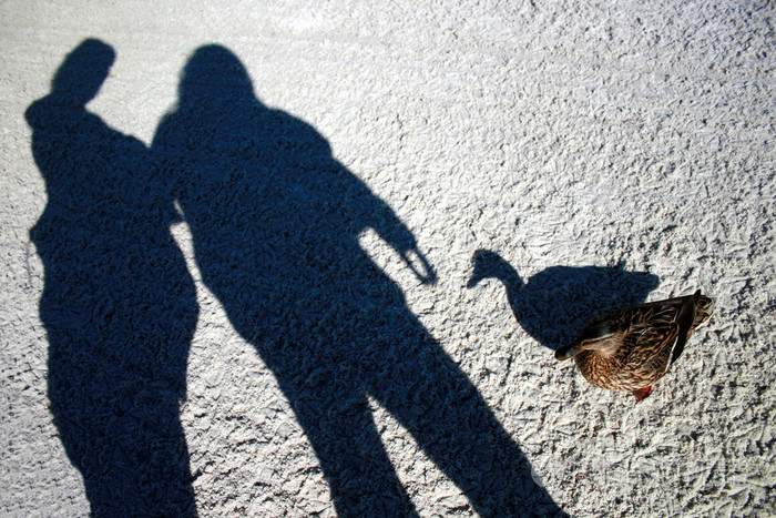 阴影shadow的名词复数影子坏影响形影不离的人物