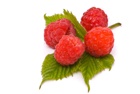 森林raspberries。 宏镜头。