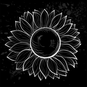 向日葵的图形图片