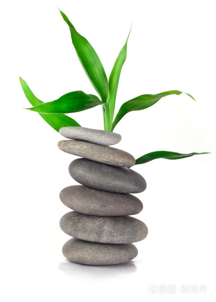 幸运的竹子和石头