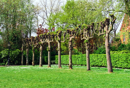 树枝树无缝图案.米色图案背景上的裸枝石头上的青苔.那座老建筑.