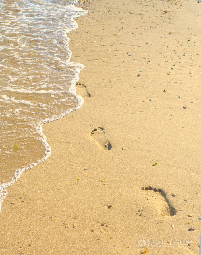 踪迹trace的名词复数电子学示踪挽绳