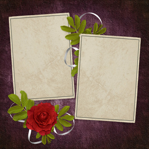 卡片从玫瑰在抽象的背面。