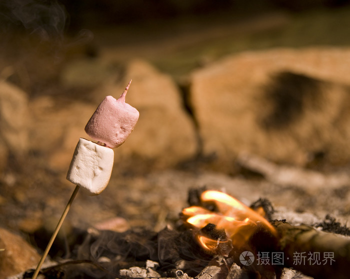 篝火上的棉花糖