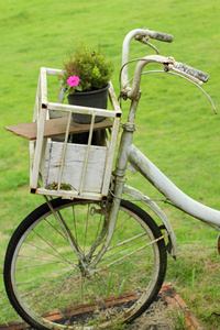 在花园里的老式自行车