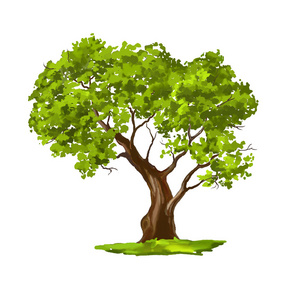 树矢量图手绘绘水彩照片