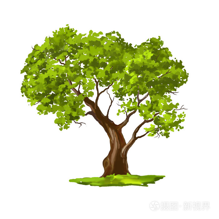 树矢量图手绘绘水彩