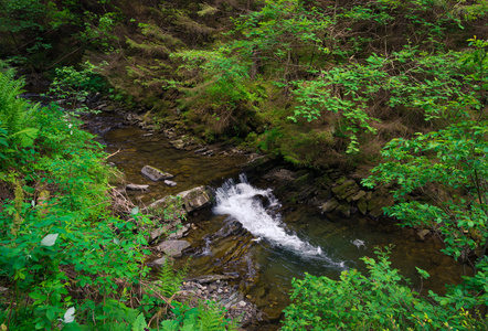 小山流