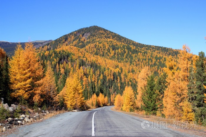 路在秋天在西萨彦岭山脉