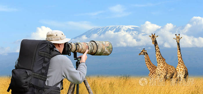 专业野生动物摄影师