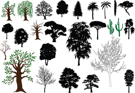 树 tree的名词复数  乔木 树状图 世系图