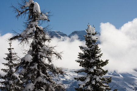 冬天大雪下的高山