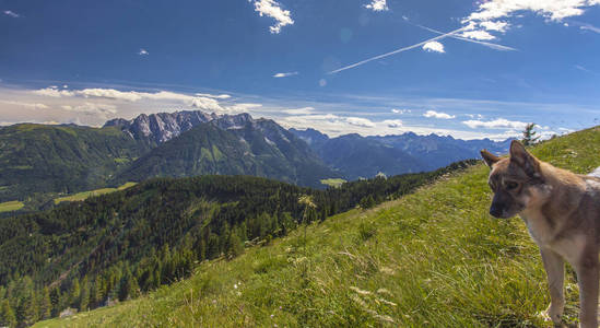 奥地利山夏日风景 Lesachtal Gailtal 性质