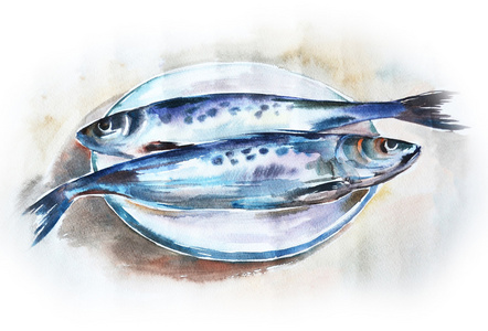 水彩静物与板上的两条鱼照片