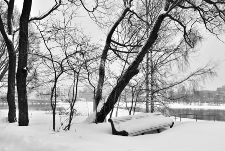 在雪地里孤独的长凳