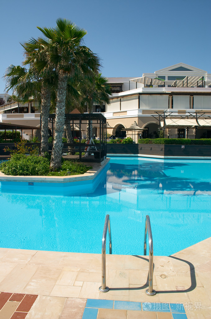游泳池附近的棕榈树