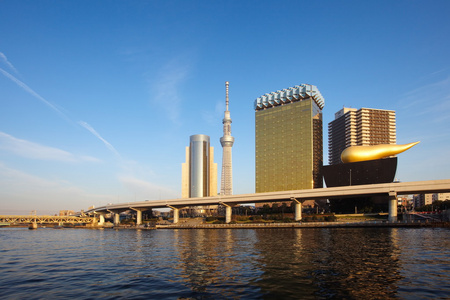 东京 Skytree 的视图