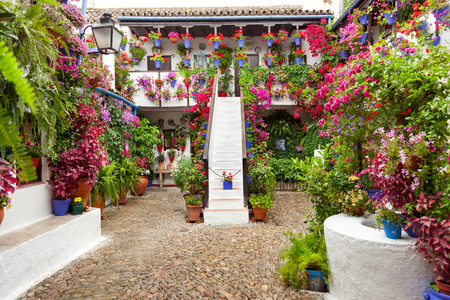 庭院用鲜花装饰天井连连，西班牙，欧洲
