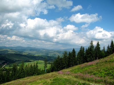 山顶全景