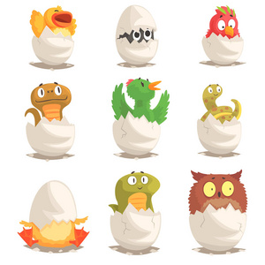 节蛋卡通插图蛔虫第二阶段幼虫孵化的蛋小鸡孵化动画从鸡蛋蛔虫第二