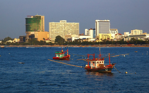 海滨城市景观。