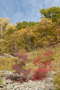 高加索山麓