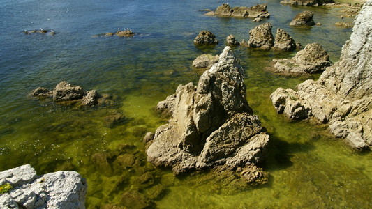 海洋中的岩石