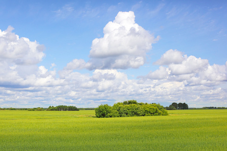 夏天实地风景