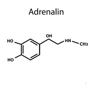 肾上腺素是一种激素。化学公式。对孤立背景矢量图
