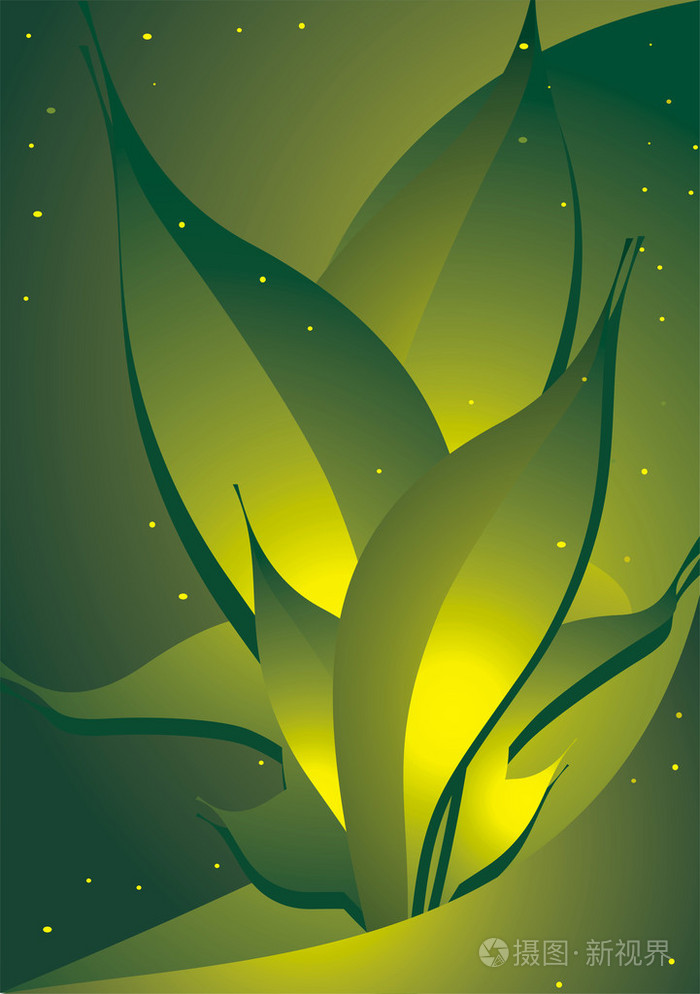 抽象绿色的植物