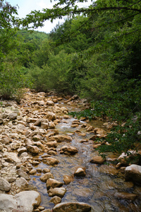 山区河流