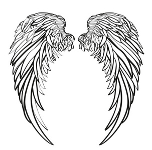 组的四个黑色和白色蝴蝶张开翅膀的剪影天使的翅膀在 zentangle 风格