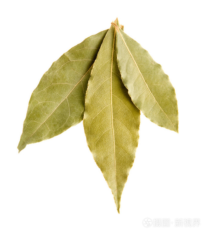 月桂树叶bayleaf的名词复数