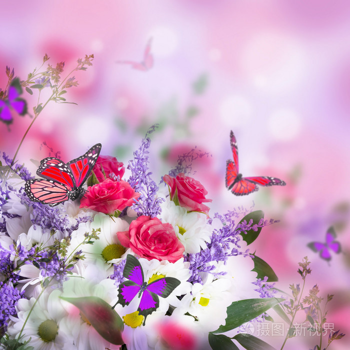 玫瑰与蝴蝶