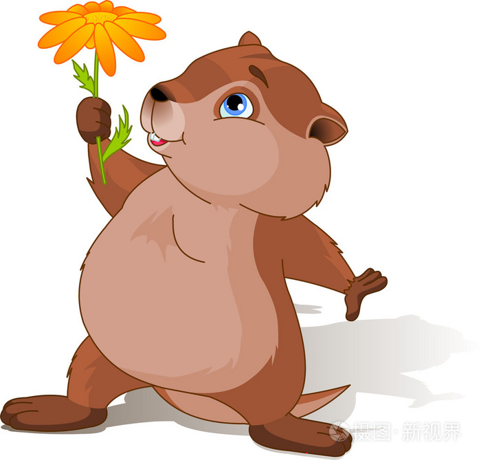 偷天情缘电影今天暂时停止土拨鼠节