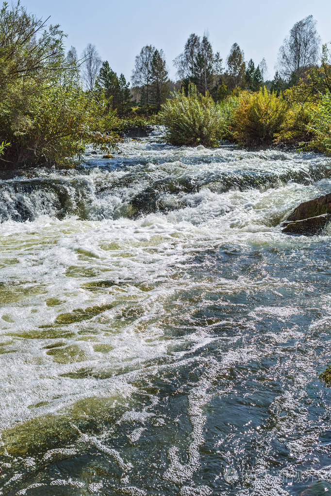 黄金河 suenga,maslyaninsky 区,西伯利亚,俄罗斯新西伯利亚州