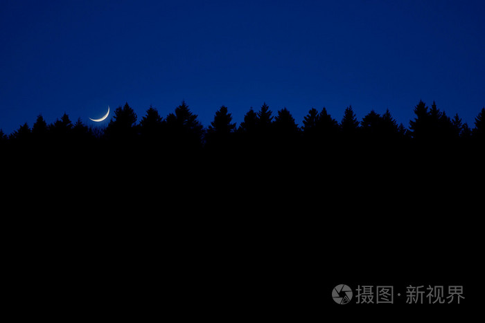 月亮在树