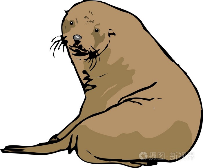 vector illustration of a seal.